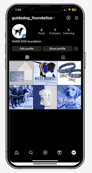 Screenshot 2023-03-14 at 12.45.49 PM.png