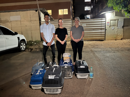 MaryCats apoia Feijoada Beneficente do PROPET para ampliar castrações de cães e gatos em Palmas