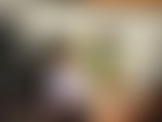 Veredaora MaryCats da Causa Animal propõe criação do programa “Farmácia Pet” para garantir acesso gratuito a medicamentos veterinários