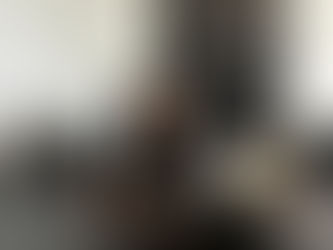 Vereadora MaryCats da Causa Animal propõe incentivos fiscais para empresas que apoiem a causa animal em Palmas