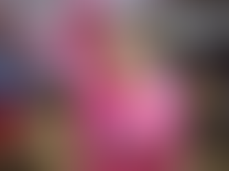 Vereadora MaryCats, da causa animal, promove ação que leva microchipagem, vacinação e testes de leishmaniose ao Recanto das Araras