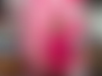 Vereadora MaryCats da  Causa Animal fortalece a causa animal com ações e parcerias ao longo de 2025