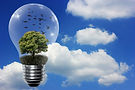 renewableele.jpg