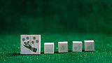Green plastic credit.jpg