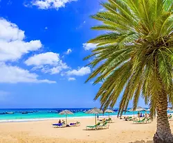 SPIAGGE-ISOLE-CANARIE-LE-MIGLIORI-1900x1080.webp