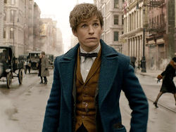 Newt Scamander