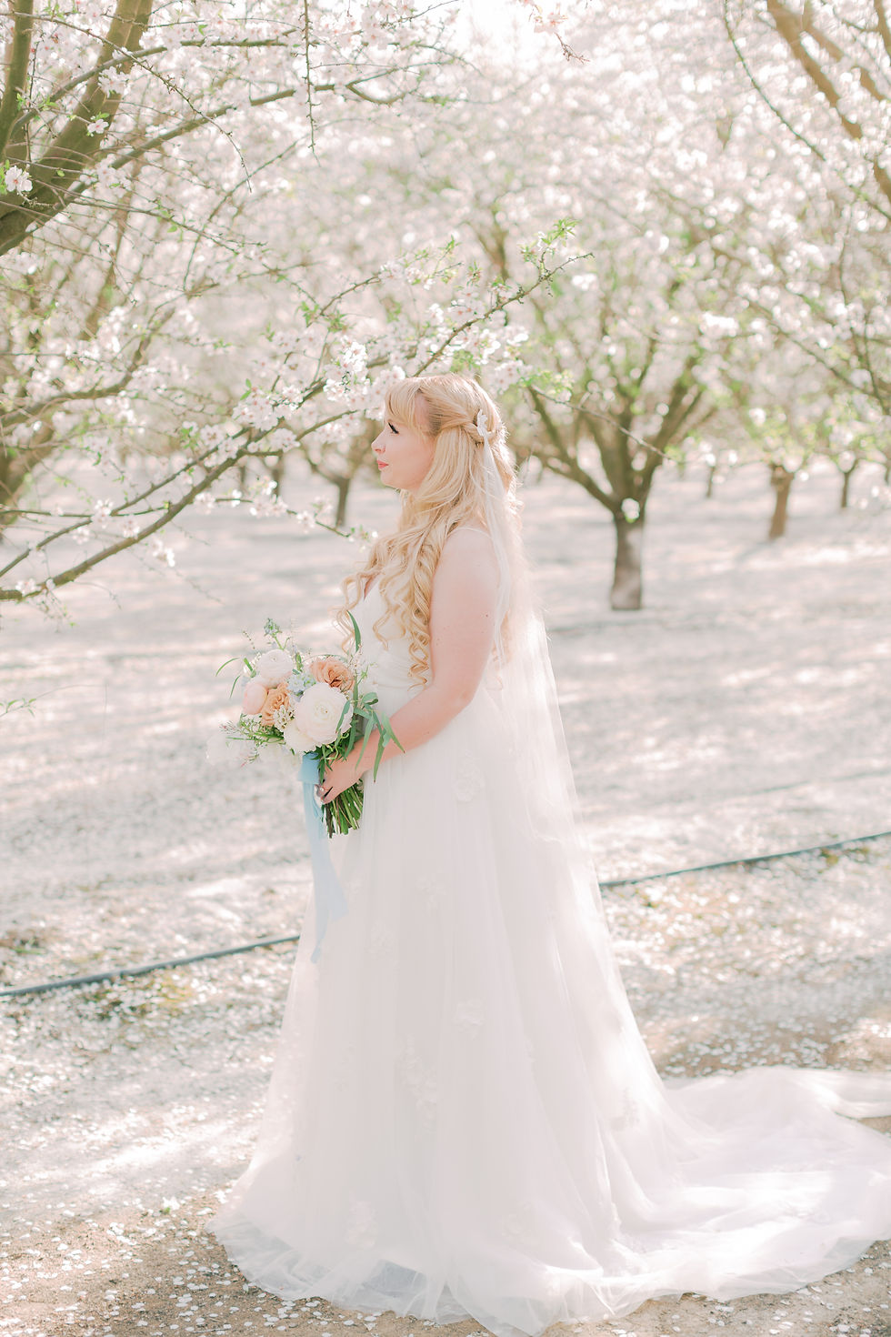 Blossoms Preview - Katherine Rose Photog