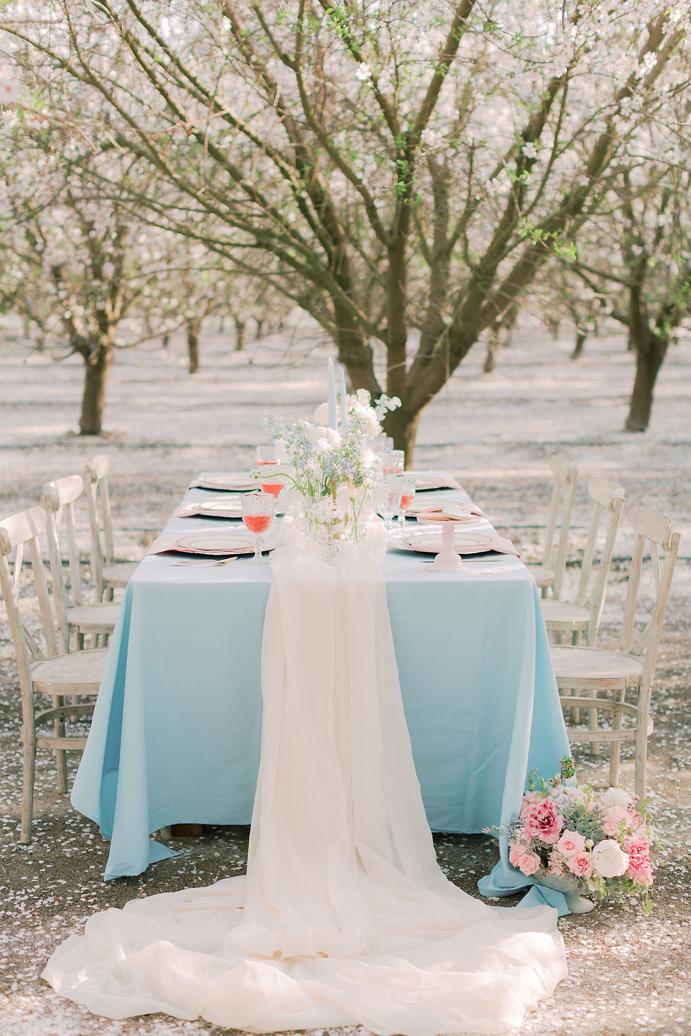 Blossoms Preview - Katherine Rose Photog
