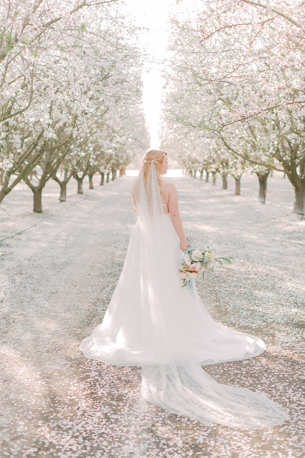 Blossoms Preview - Katherine Rose Photog