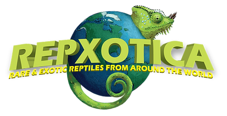 Repxotica Reptiles