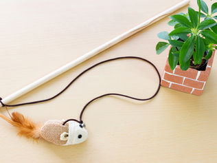 猫が喜ぶおもちゃをDIYしてみよう!
