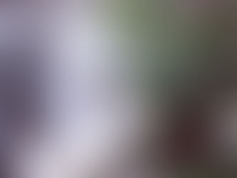 Houston Disaster Relief