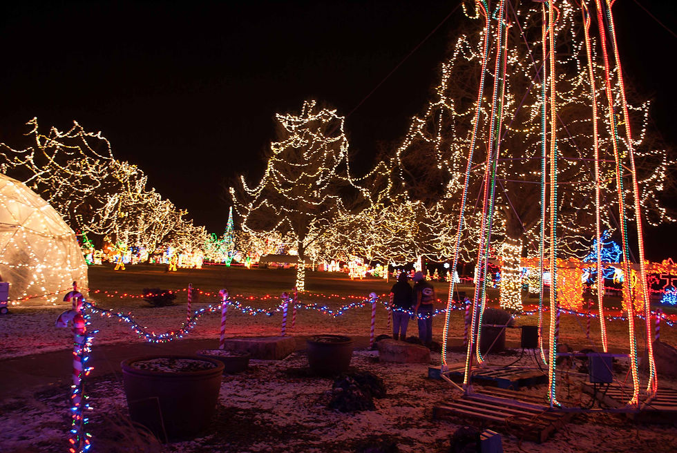 LaCrosseholidaylights