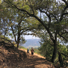 Private Trail Showing