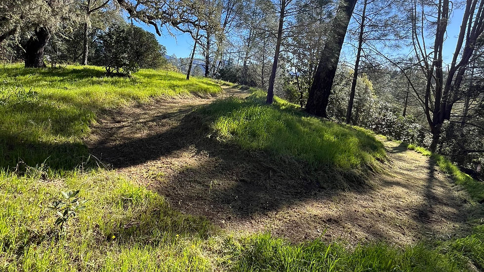 Trail cleared from overgrowth