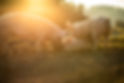 AdobeStock_316101041.jpeg