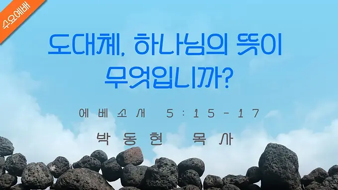도대체 하니님 뜻이 무엇입니까?