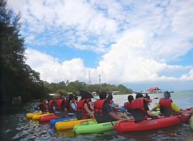 Mangrove Kayaking_edited.jpg