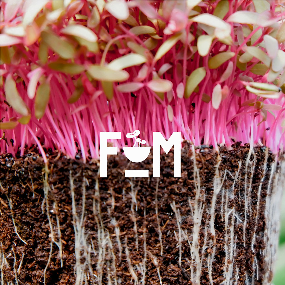 microgreens logo