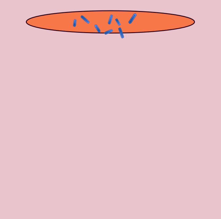 Scene-6.gif