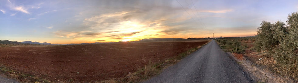 Eduardo Farm Cover photo terrano 2.JPG