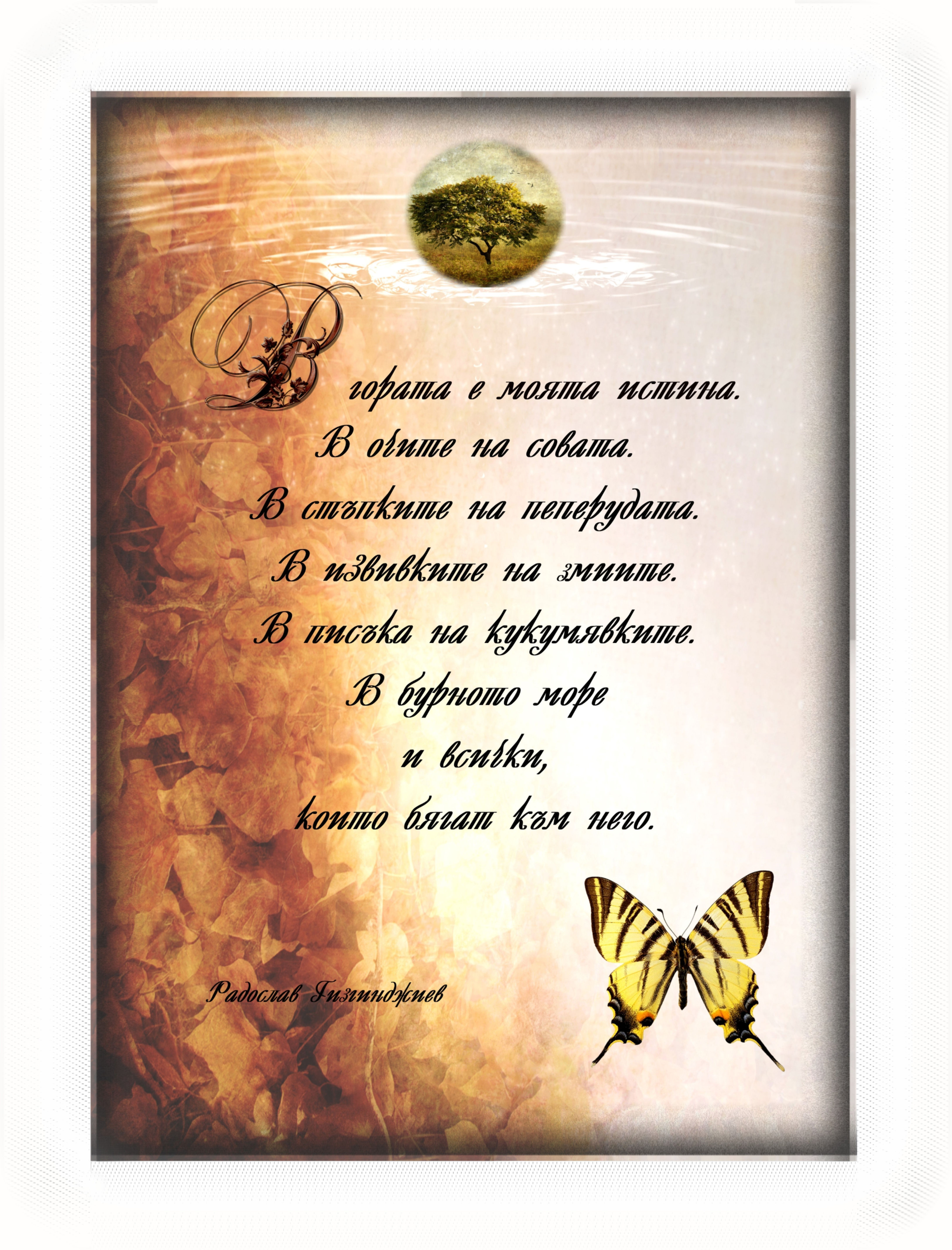 "В гората е моята истина..."