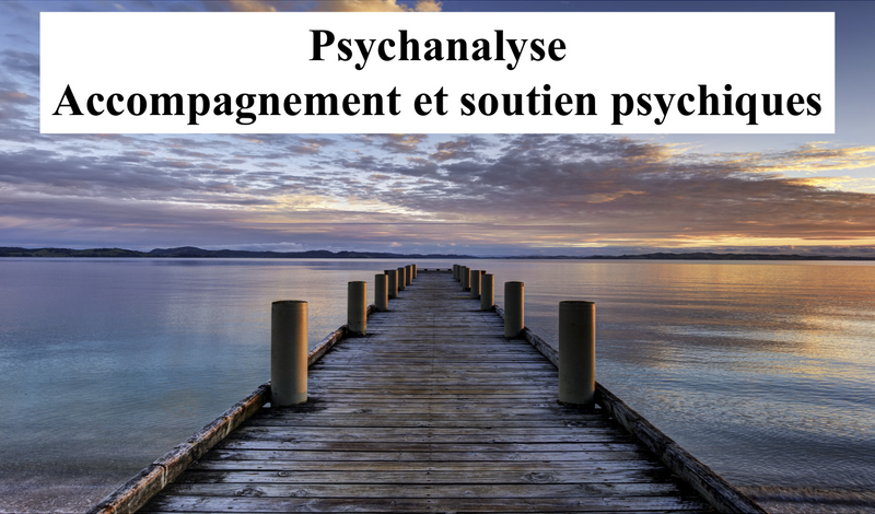 Site web ellie Derros