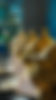 Event Packages.jpg