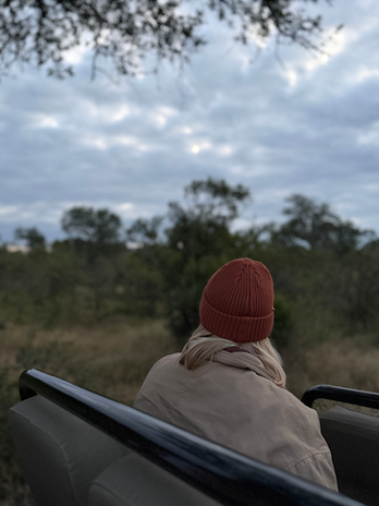 Traveler watching the African landscape from an open safari vehicle during an early morning game drive.