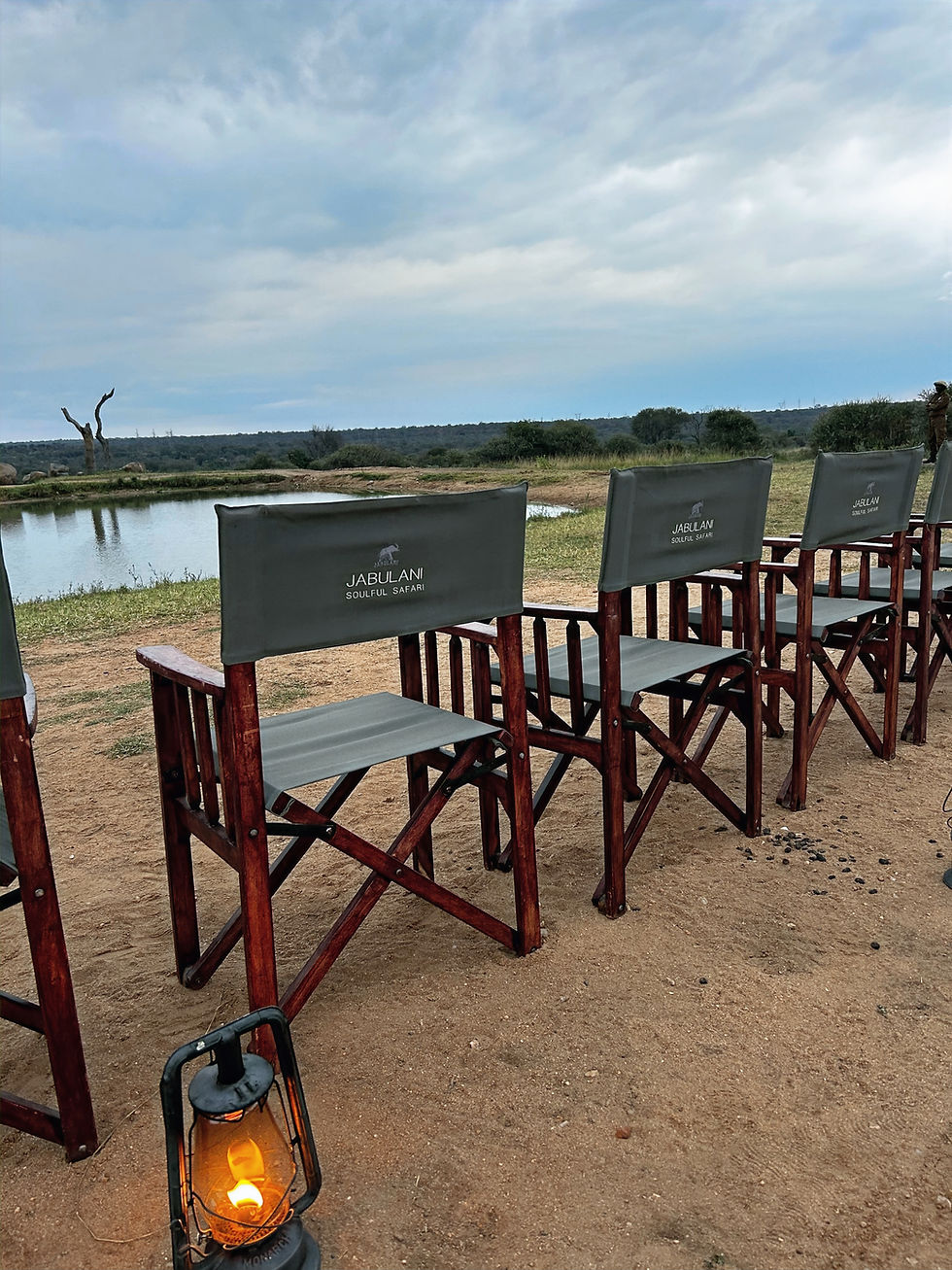 Sundowner chairs overlooking a waterhole during an evening safari experience in South Africa