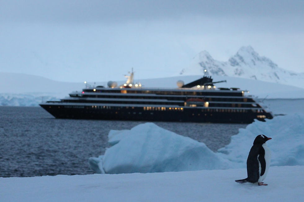 Penguin walking on a glacier in Antarctica. The cruise ship is in the background.