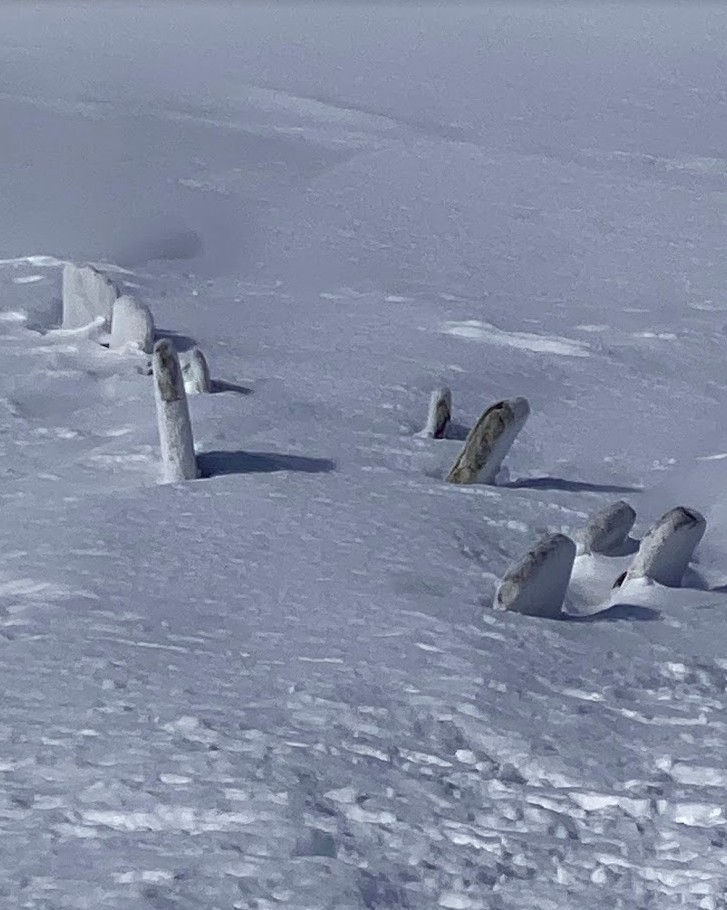 Whale vertebra sticking out of the snow in Antarctica