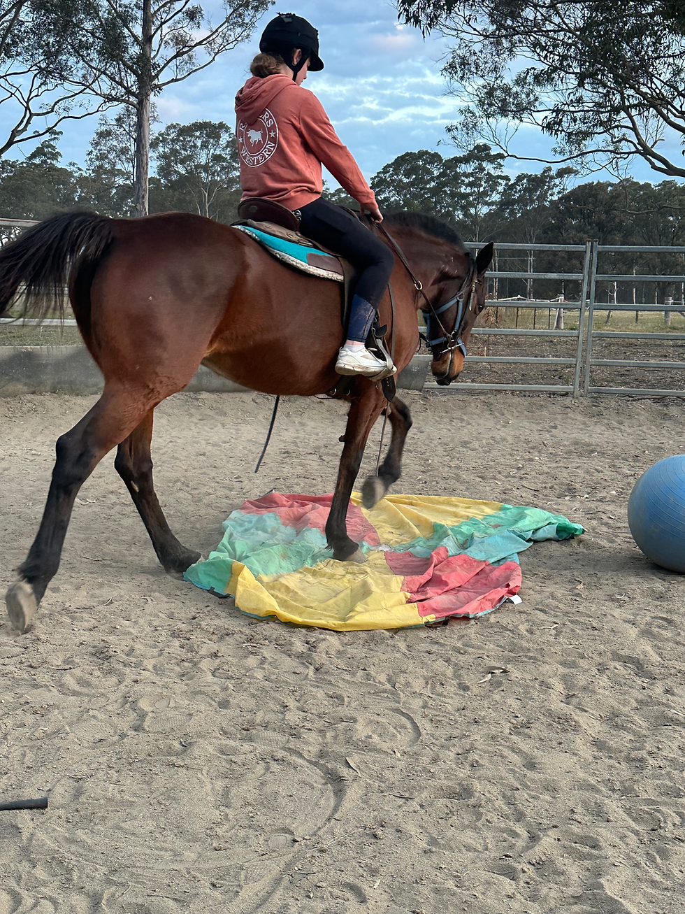 Thumbnail: Summer 🌺 Beautiful quiet Standy mare