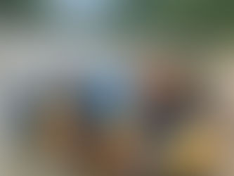 Osprey Whitewater: Leading the Charge in Nolichucky River Restoration