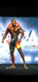 Monthly IFBB Competition Coaching