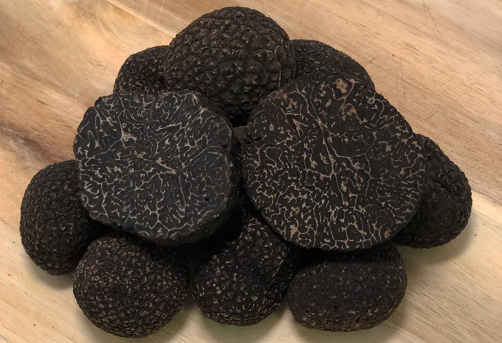 australian black winter truffle