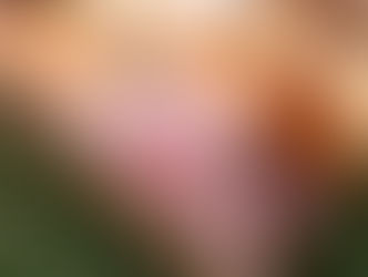 A Sundowner to Remember: Wines of the Wild South in Cottesloe