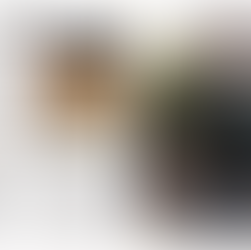 Fresh Truffle Season 2025: A Brief Harvest, Full of Flavour