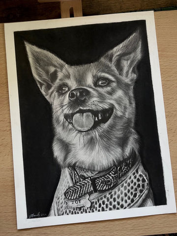 Pet 