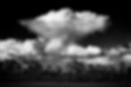 Thundercloud photographed in black and white at Cecil Webb in Punta Gorda, Florida