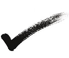 Check mark in bold brush stroke.jpg