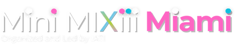 IATI Mini MIXiii Miami ללא IATI.png