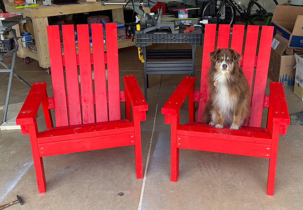 Two bright orange-red adirondack chairs with a small-medium red and white dog sitting in the right chair.