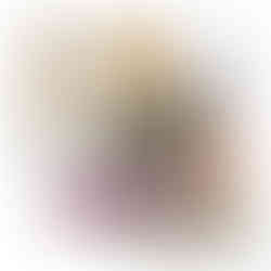 Material Board for a teenage girl's room showing furniture, finishes and accessories recommended.