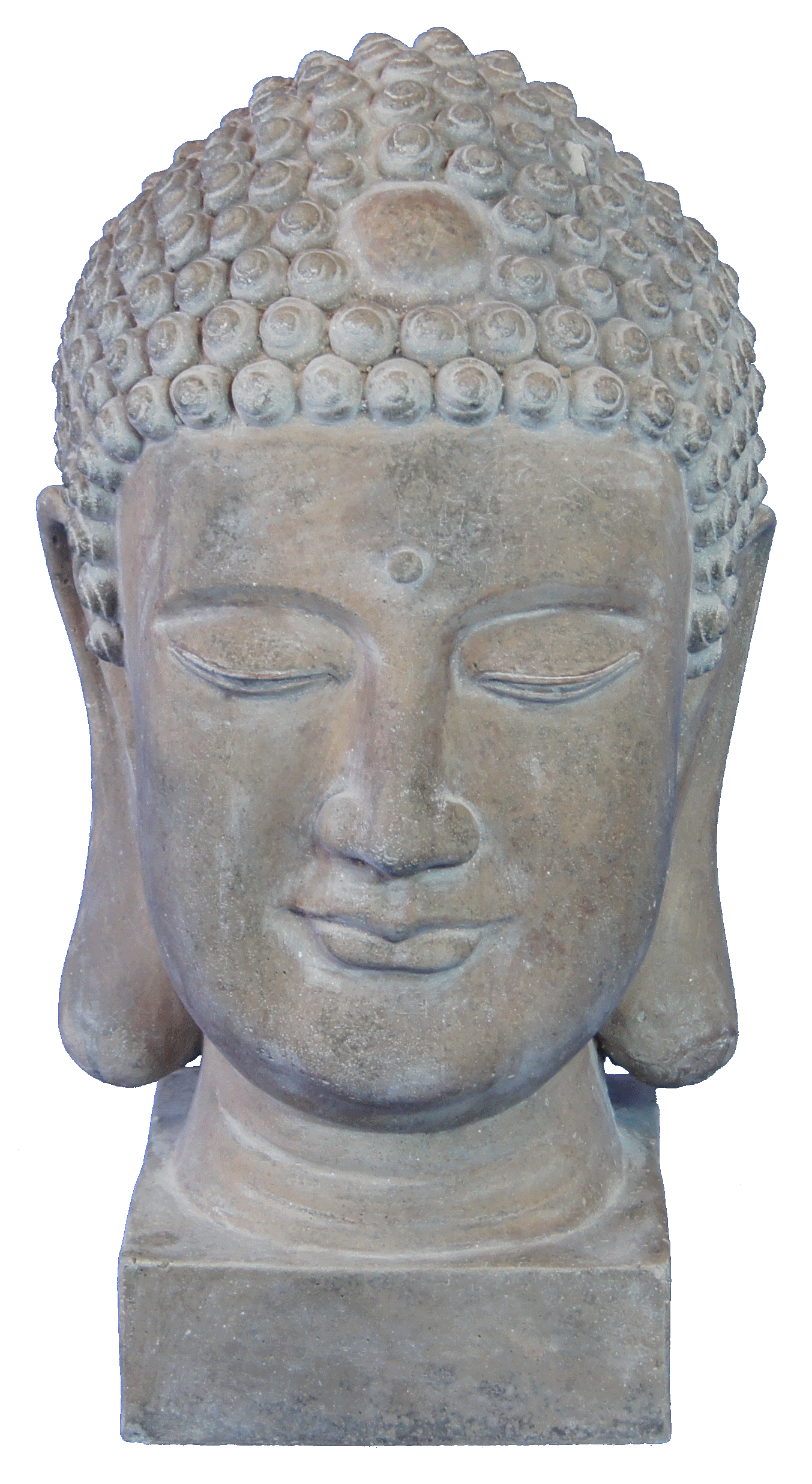 2911-A-105 Budda Kopf