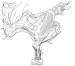 La voix de KUROKO 3_edited.jpg