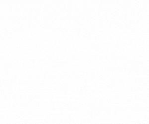 300x250 SabreMosaicTM GIF.gif