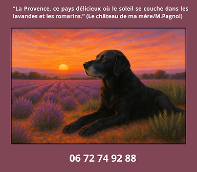 La Provence, ce pays délicieux où le soleil se couche dans les lavandes et les romarins. (
