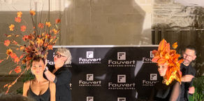 L'artistique tour, le show Fauvert