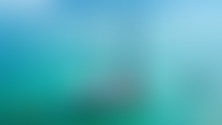 SEMI-SUBMERSIBLE (1/2)​